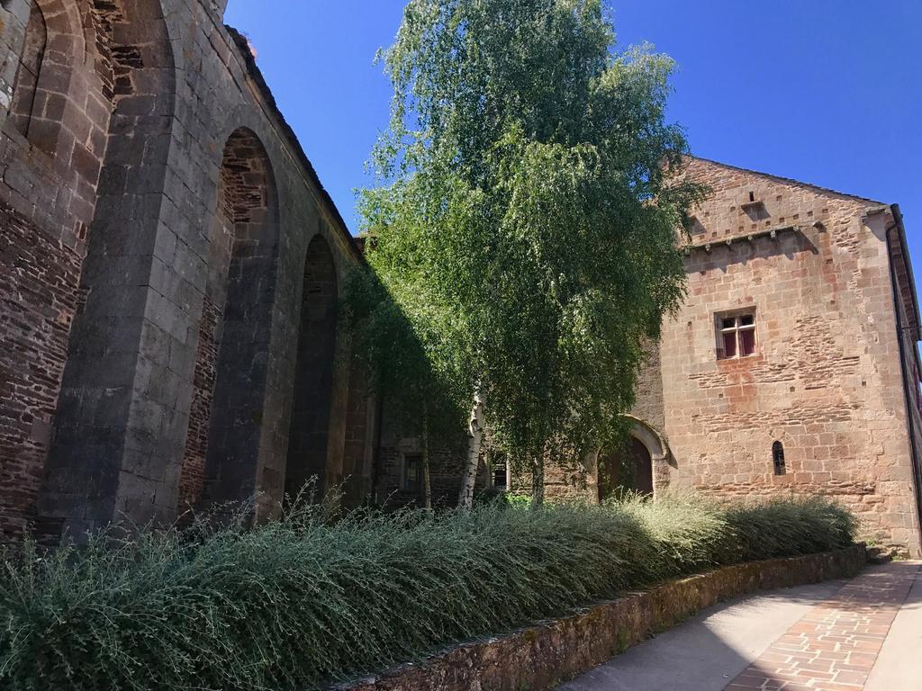La Petite Maison Des Artistes Castelnau-Pégayrols 部屋 写真
