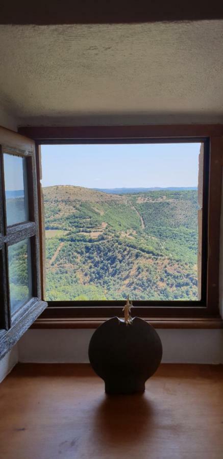 La Petite Maison Des Artistes Castelnau-Pégayrols エクステリア 写真
